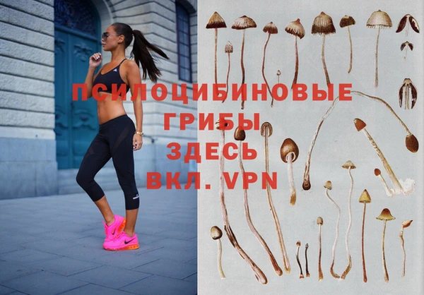 хмурый Балабаново