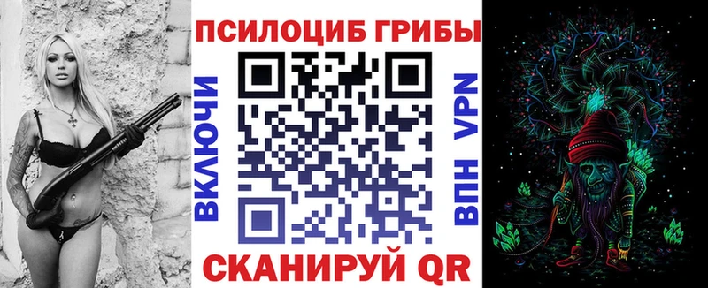 ссылка на мегу сайт  где купить наркоту  Мичуринск  Псилоцибиновые грибы мицелий 